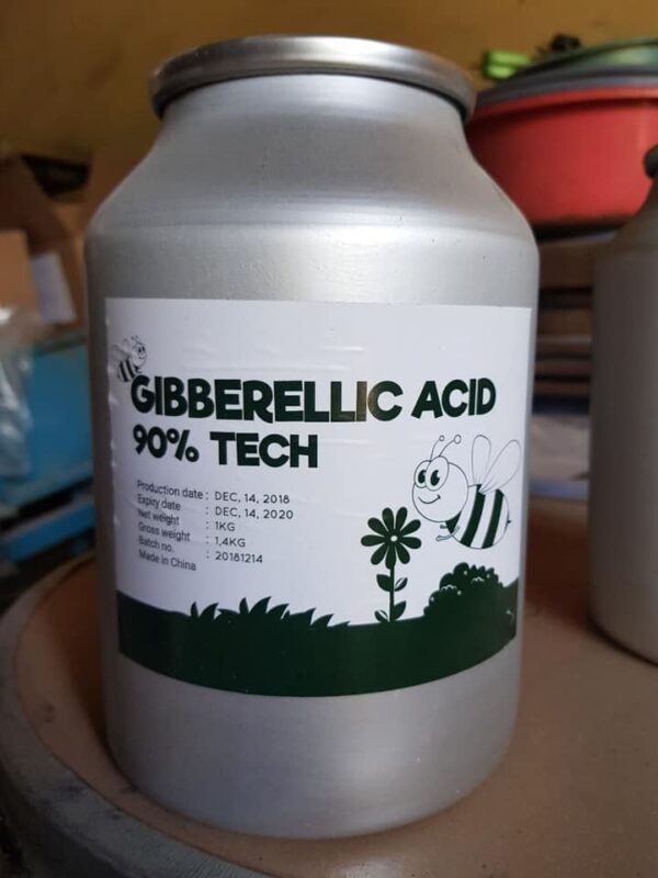 ACID GIBBERELLIC GA3 CHẤT ĐIỀU HÒA SINH TRƯỞNG
