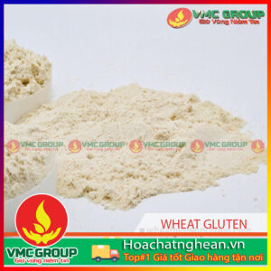 Tìm hiểu về Wheat Gluten