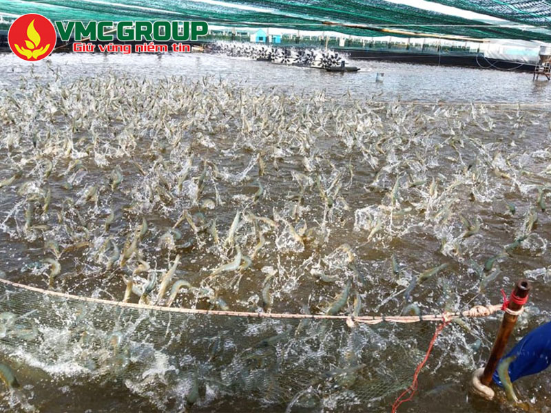 Những ứng dụng quan trọng của EDTA 2Na 